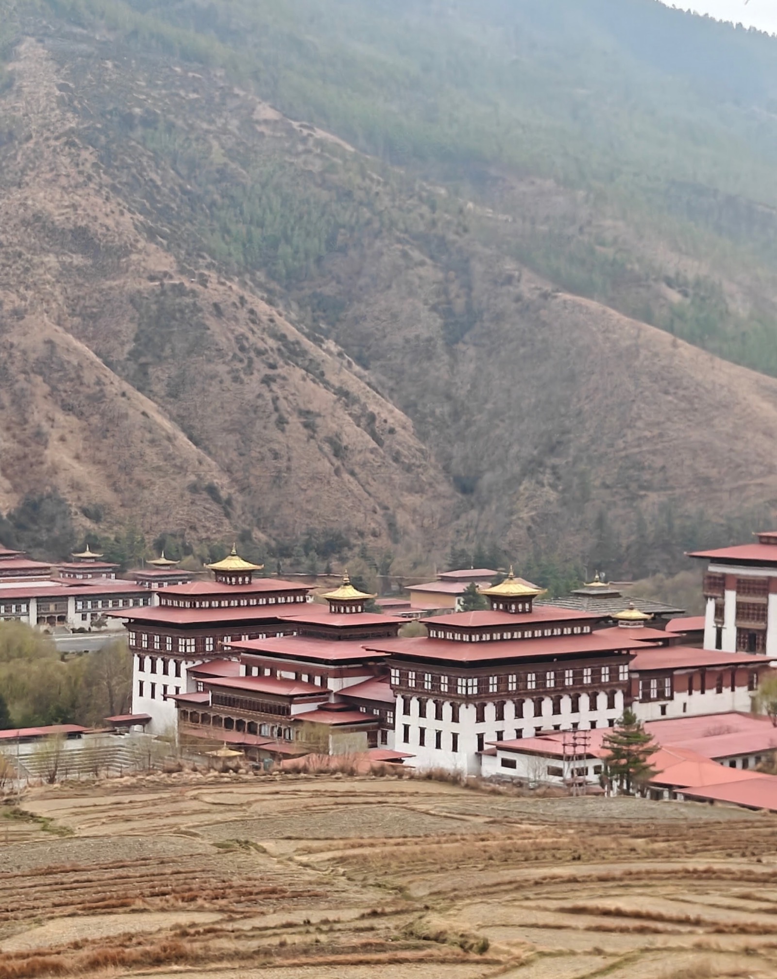 Tashichhoe Dzong viewpoint