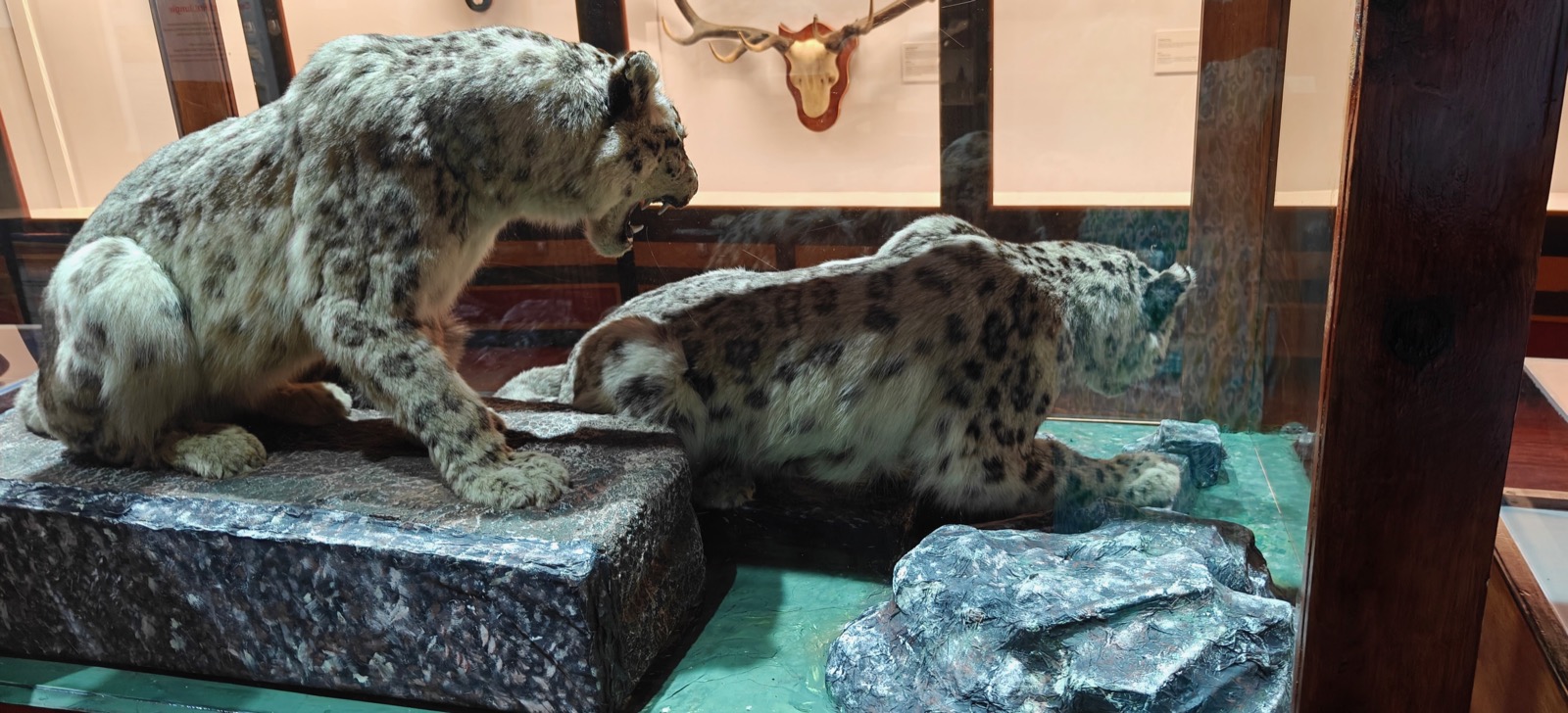 National Museum of Bhutan, Paro