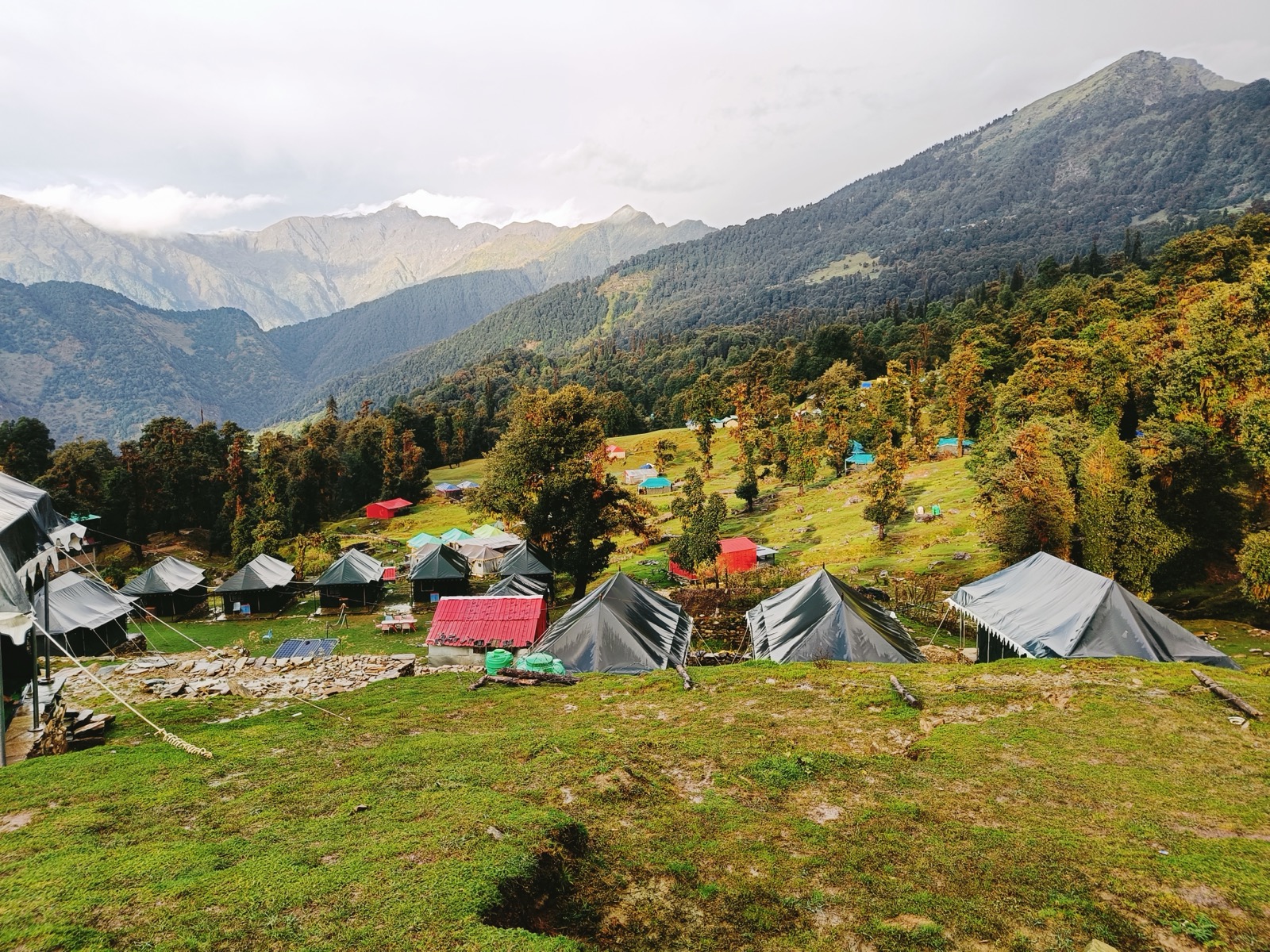 Chopta — Tungnath & Chandrashila Trek