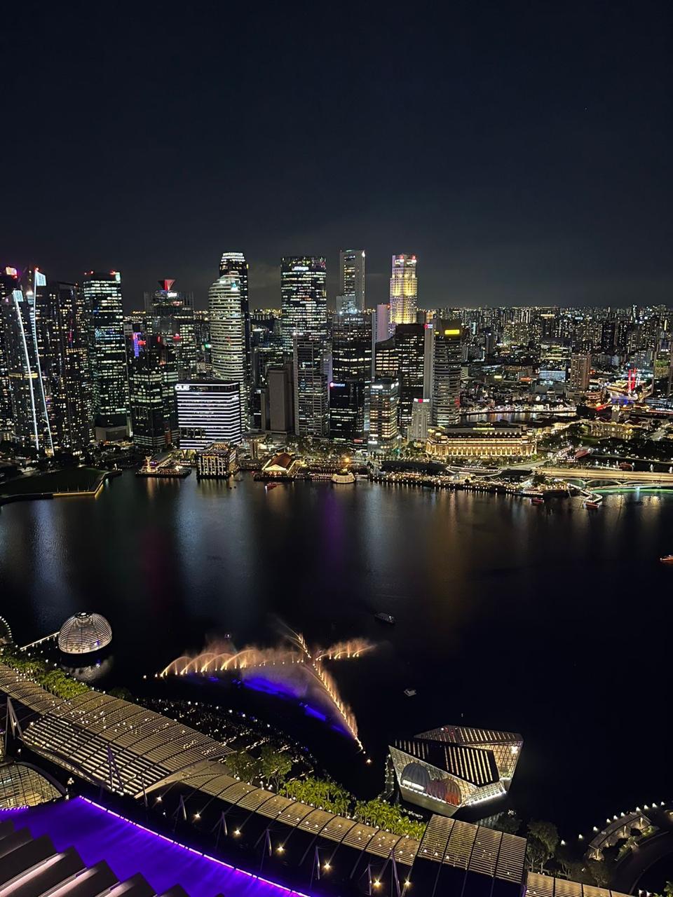 View from Marina Bay Sands SkyPark