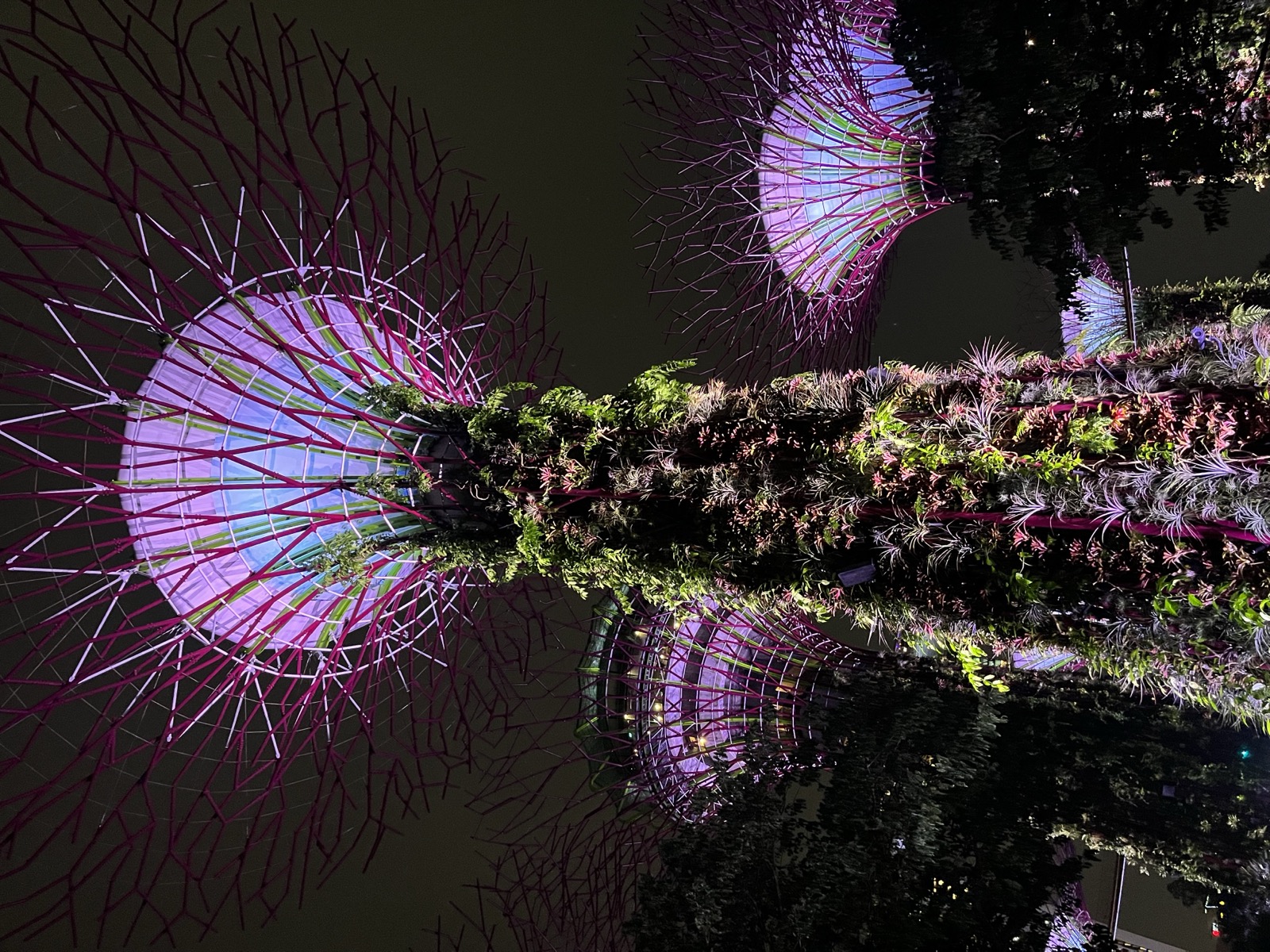 Gardens by the Bay at night