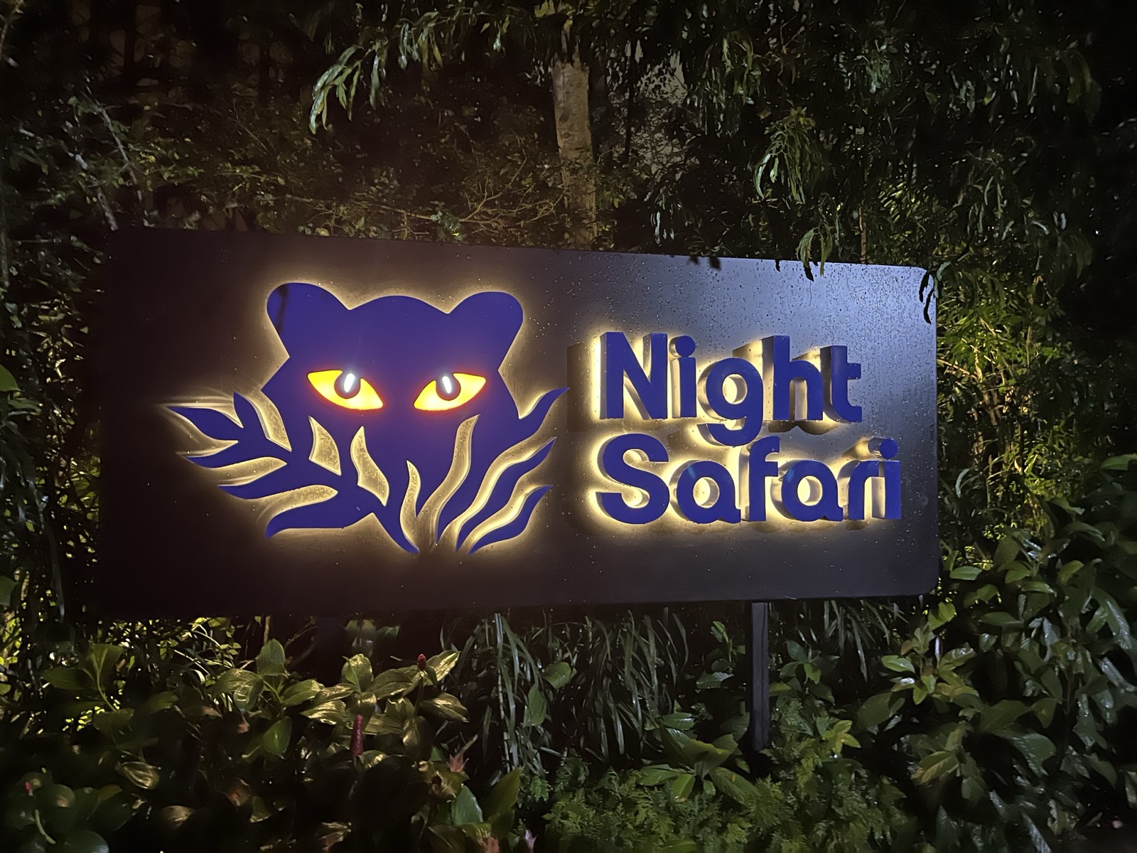 Night Safari, Singapore
